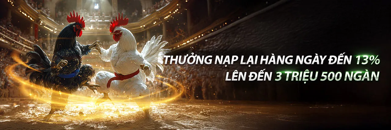 Banner hoàn trả casino cao cấp